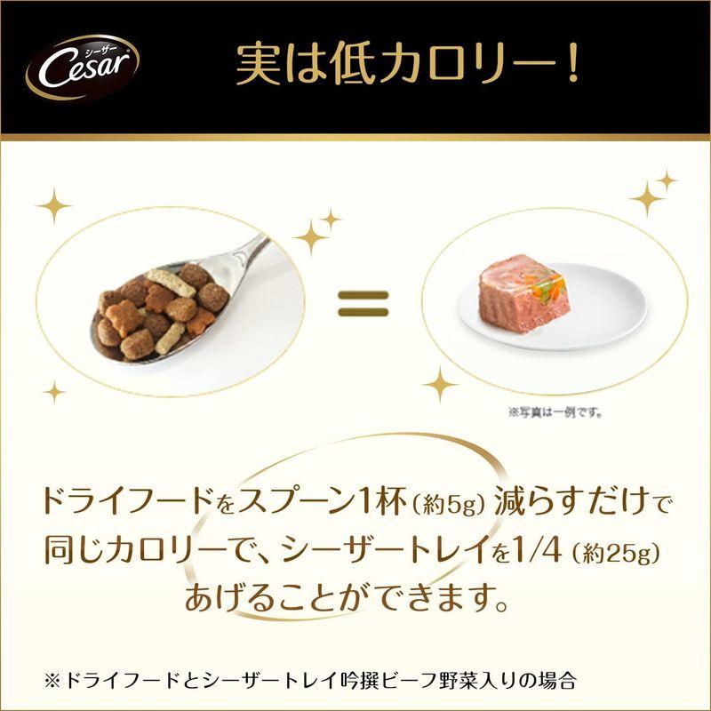 シーザー ドッグフード 14歳からの 吟選ビーフ 野菜・玄米入り シニア犬用 100g×96個 (ケース販売) ドッグフード 14歳からの 吟選ビーフ 野菜 玄米入り シニア犬用 100g×96個 ケース販売