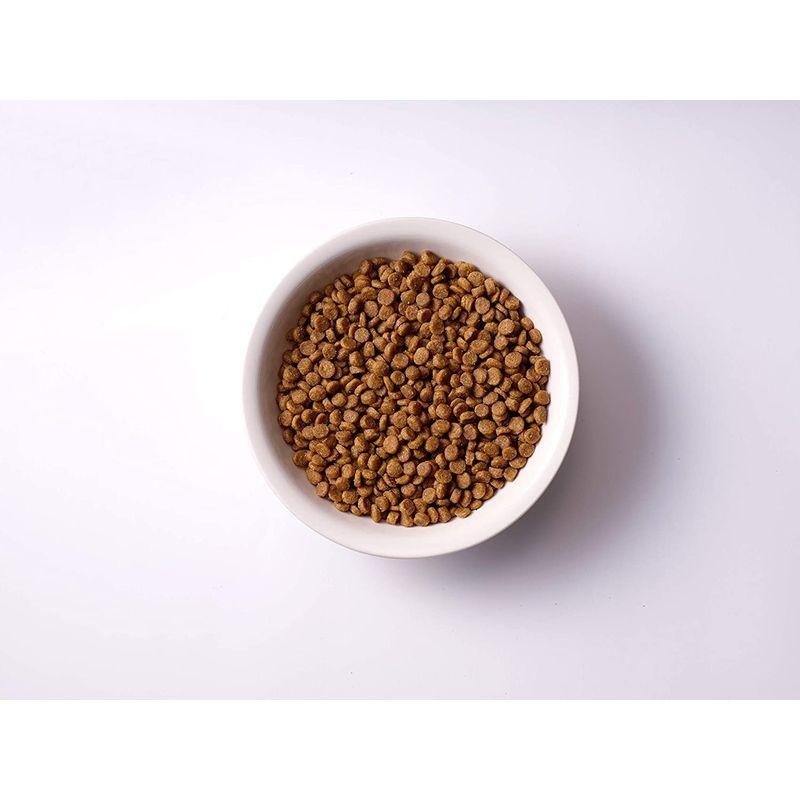ソルビダ グレインフリー チキン 室内飼育7歳以上用 5.8kg ペット用品、生き物 犬用品 ドッグフード U1274160277(11827円)