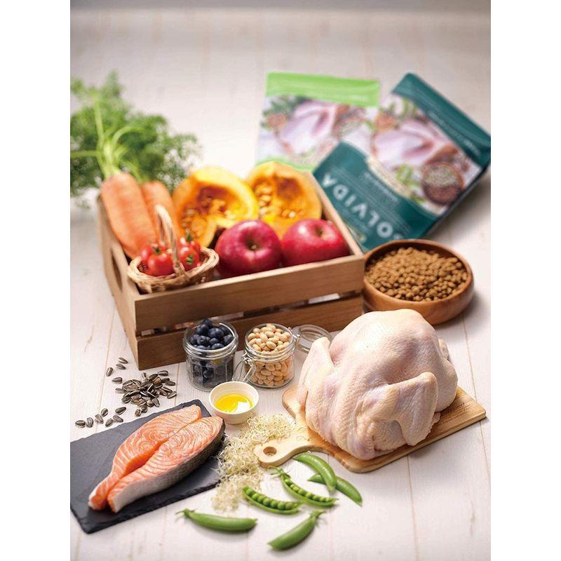 ソルビダ グレインフリー チキン 室内飼育7歳以上用 5.8kg ペット用品、生き物 犬用品 ドッグフード U1274160277(11827円)