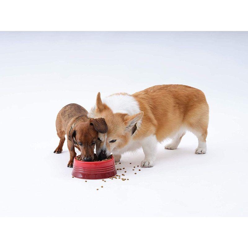 ソルビダ グレインフリー チキン 室内飼育7歳以上用 5.8kg ペット用品、生き物 犬用品 ドッグフード U1274160277(11827円)