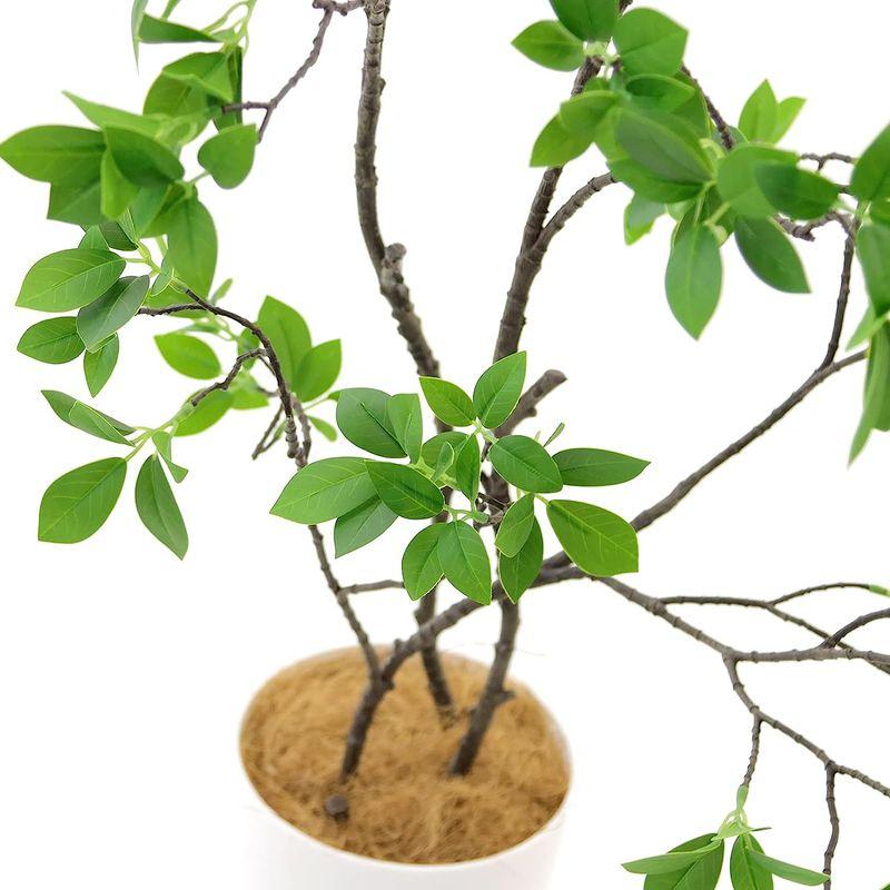 造花ドットコム プレミアム 光触媒 消臭 フェイクグリーン 「ドウダンツツジ 3本立 高さ100cm 幅90cm 奥行50cm 曲げた時（直 消臭 造花ドットコム プレミアム 光触媒 フェイクグリーン ドウダンツツジ 3本立 高さ100cm 幅90cm 奥行50cm 曲げた時