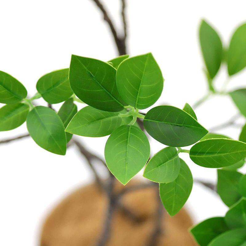 造花ドットコム プレミアム 光触媒 消臭 フェイクグリーン 「ドウダンツツジ 3本立 高さ100cm 幅90cm 奥行50cm 曲げた時（直 消臭 造花ドットコム プレミアム 光触媒 フェイクグリーン ドウダンツツジ 3本立 高さ100cm 幅90cm 奥行50cm 曲げた時