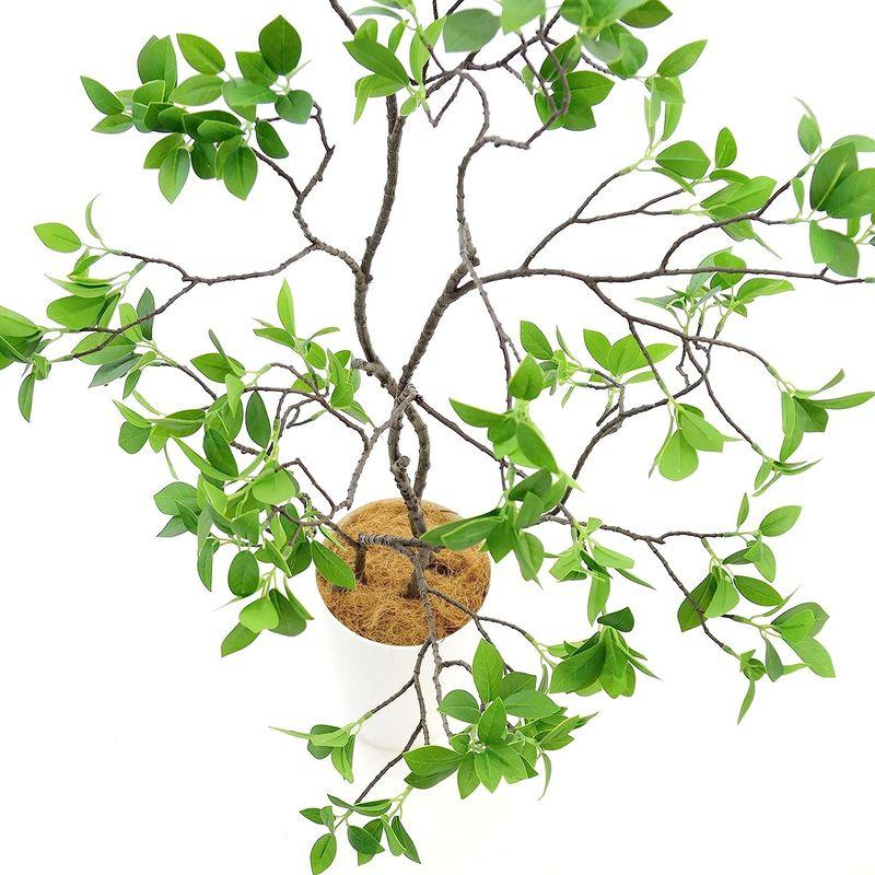 造花ドットコム プレミアム 光触媒 消臭 フェイクグリーン 「ドウダンツツジ 3本立 高さ100cm 幅90cm 奥行50cm 曲げた時（直 消臭 造花ドットコム プレミアム 光触媒 フェイクグリーン ドウダンツツジ 3本立 高さ100cm 幅90cm 奥行50cm 曲げた時