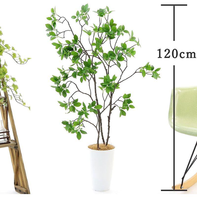 造花ドットコム プレミアム 光触媒 消臭 フェイクグリーン 「ドウダンツツジ 3本立 高さ100cm 幅90cm 奥行50cm 曲げた時（直 消臭 造花ドットコム プレミアム 光触媒 フェイクグリーン ドウダンツツジ 3本立 高さ100cm 幅90cm 奥行50cm 曲げた時