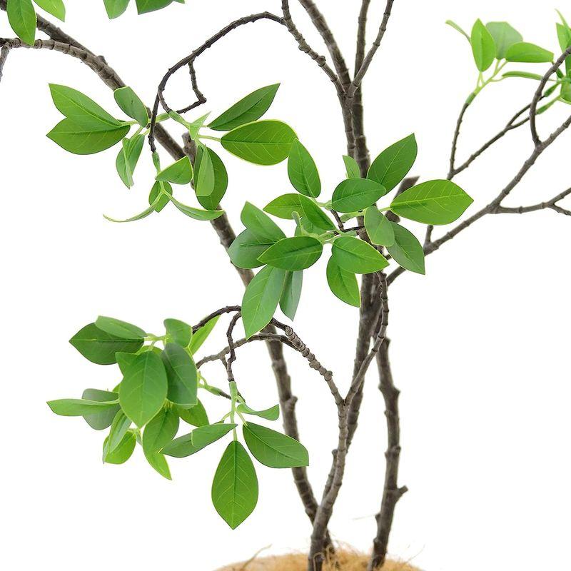 造花ドットコム プレミアム 光触媒 消臭 フェイクグリーン 「ドウダンツツジ 3本立 高さ100cm 幅90cm 奥行50cm 曲げた時（直 消臭 造花ドットコム プレミアム 光触媒 フェイクグリーン ドウダンツツジ 3本立 高さ100cm 幅90cm 奥行50cm 曲げた時