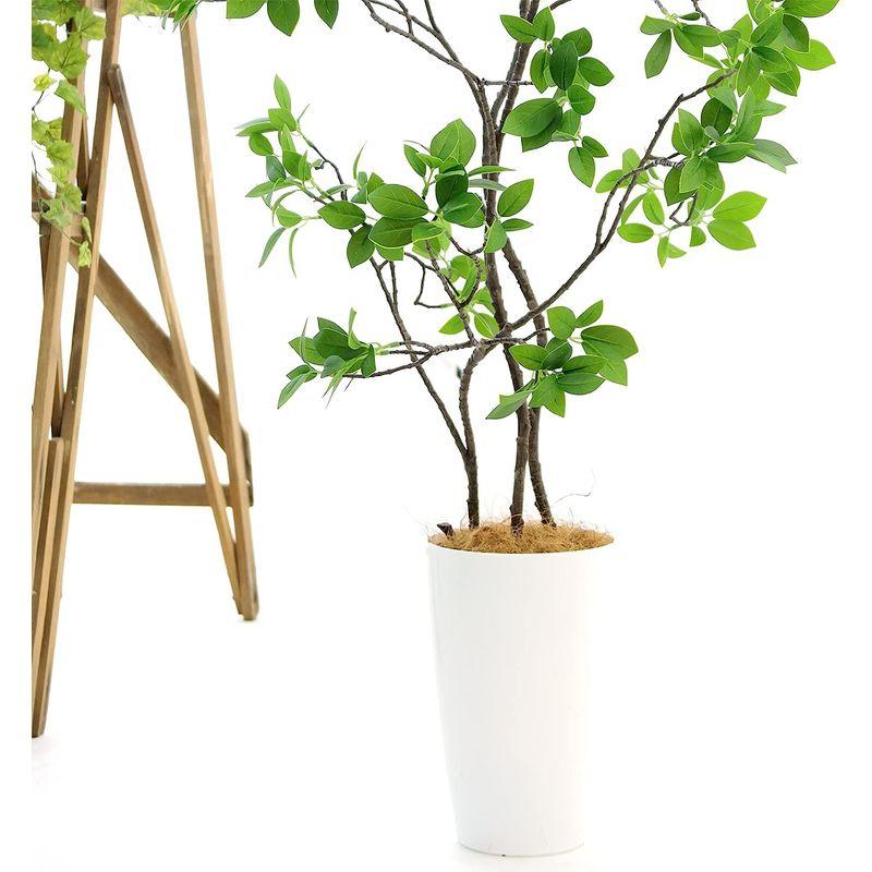 造花ドットコム プレミアム 光触媒 消臭 フェイクグリーン 「ドウダンツツジ 3本立 高さ100cm 幅90cm 奥行50cm 曲げた時（直 消臭 造花ドットコム プレミアム 光触媒 フェイクグリーン ドウダンツツジ 3本立 高さ100cm 幅90cm 奥行50cm 曲げた時