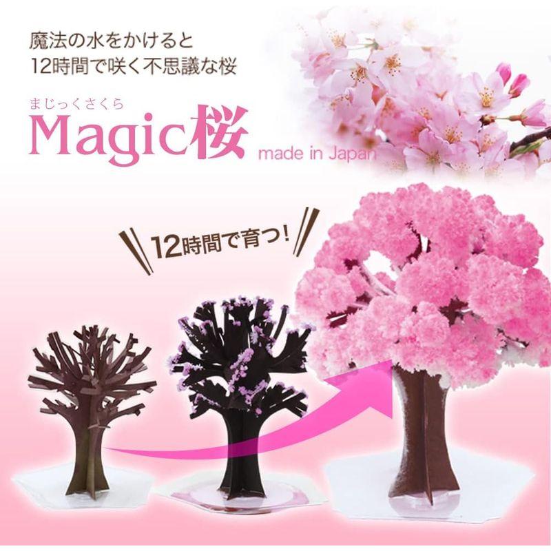 OTOGINO Magic桜 マジック桜 (スタンダード) 2個セット ピンク 中 桜の飾り物｜br-select-store｜02