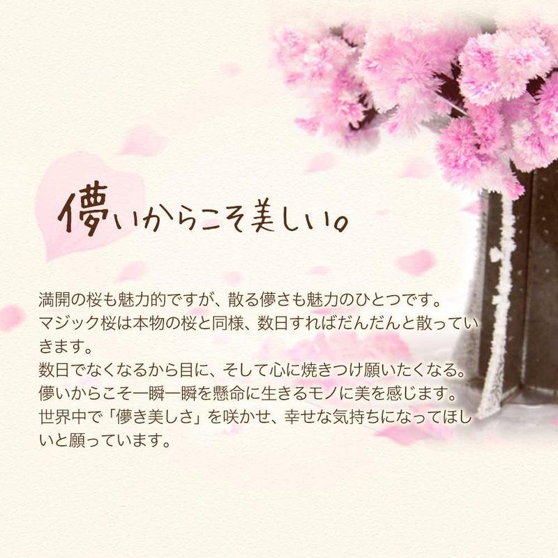 OTOGINO Magic桜 マジック桜 (スタンダード) 2個セット ピンク 中 桜の飾り物｜br-select-store｜05