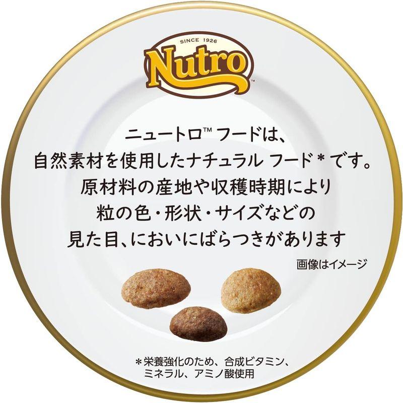 nutro ニュートロ ナチュラル チョイス 小型犬用 成犬用 生後8ヶ月以上 チキン&玄米 6kg ドッグフード｜br-select-store｜08