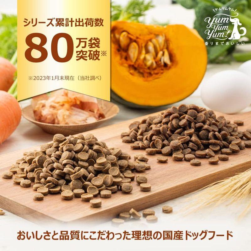 yum yum yum(ヤムヤムヤム)国産ドッグフー ド 馬肉 ドライタイプ 500g 全犬種 全成長段階用 総合栄養食｜br-select-store｜04