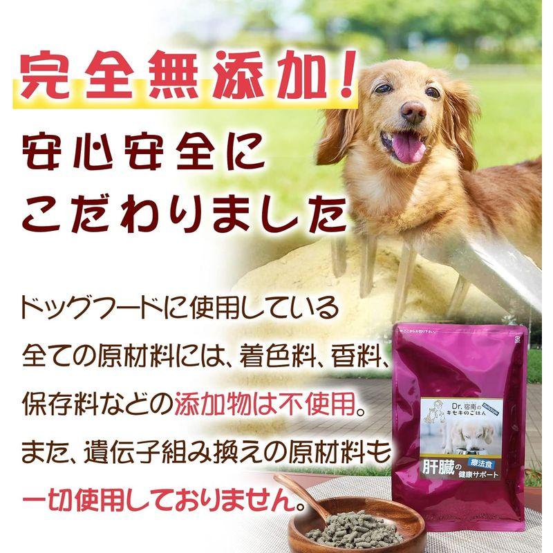 肝臓の健康サポート お試し商品 100g 犬用療法食 無添加国産 鹿肉ドッグフード Dr.宿南のキセキのごはん （ 旧・デイリースタイル｜br-select-store｜07