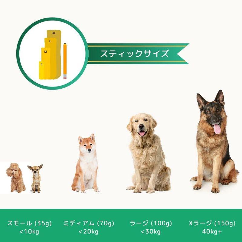 GoDoggy ヒマラヤ産ヤクチーズスティック (XL) 1本入り180g 自然食品 犬 おやつ｜br-select-store｜07