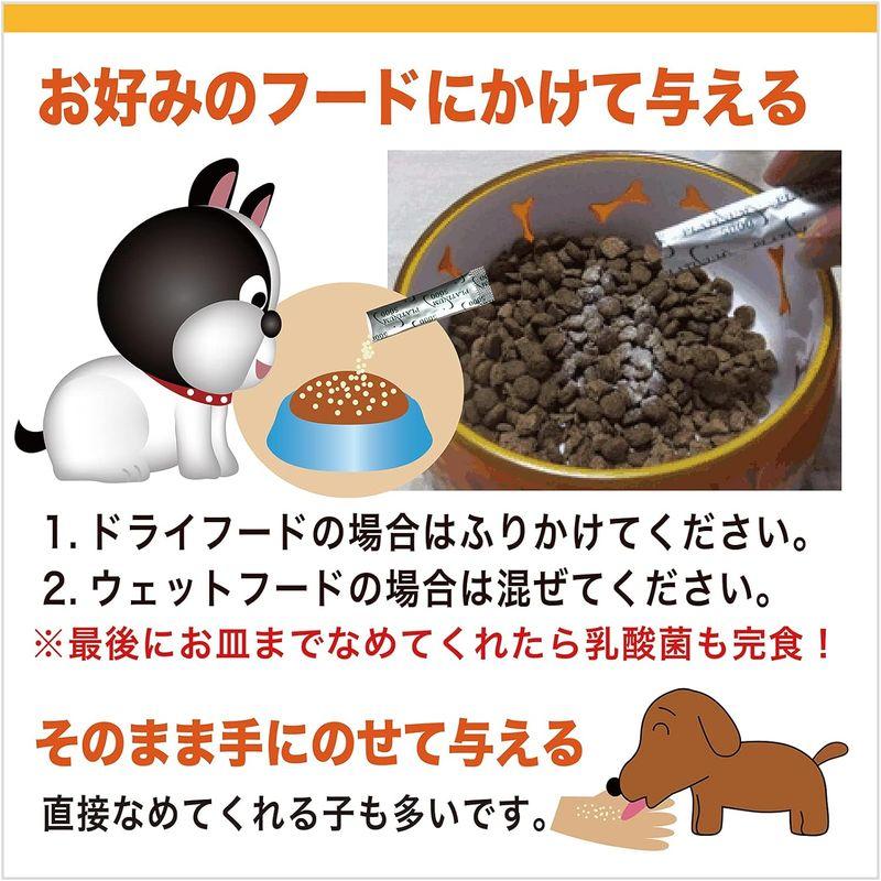 プラチナ乳酸菌 国産犬用 猫用 乳酸菌サプリ「プラチナ乳酸菌5000α」顆粒タイプ１袋スティック30包入 乳酸菌ラボ 公式ストア 国産 ペッ｜br-select-store｜08