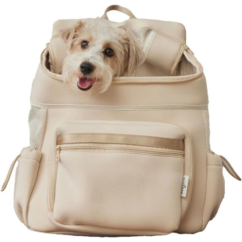 citydog/シティドッグ 犬 キャリーバッグ リュック バッグ 猫 ペット キャリーケース キャリーバック 犬用 バッグ 涼しい 通気性｜br-select-store｜03