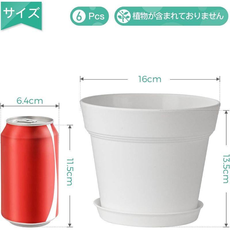 T4U 植木鉢 プラスチック プランター 6点セット 受け皿付き 排水穴付き 5号鉢 現代風 室内 観葉植物鉢 多肉植物鉢 ハーブ鉢 花鉢｜br-select-store｜02