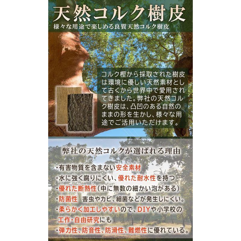 WinJapan コルク樹皮 着生 エアプランツ チランジア バークチップ 爬虫類 観葉植物 本物 ヘゴ板 (大サイズ 200×300 １枚｜br-select-store｜06