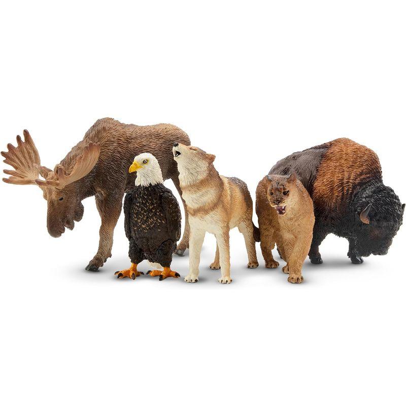 TOYMANY 12PCS北アメリカ 森の動物フィギュア 野生動物 TOYMANY 12PCS北アメリカ 森の動物フィギュア 野生動物