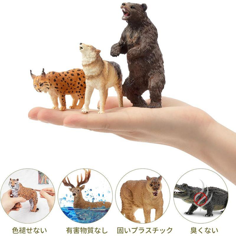 TOYMANY 12PCS北アメリカ 森の動物フィギュア 野生動物 TOYMANY 12PCS北アメリカ 森の動物フィギュア 野生動物