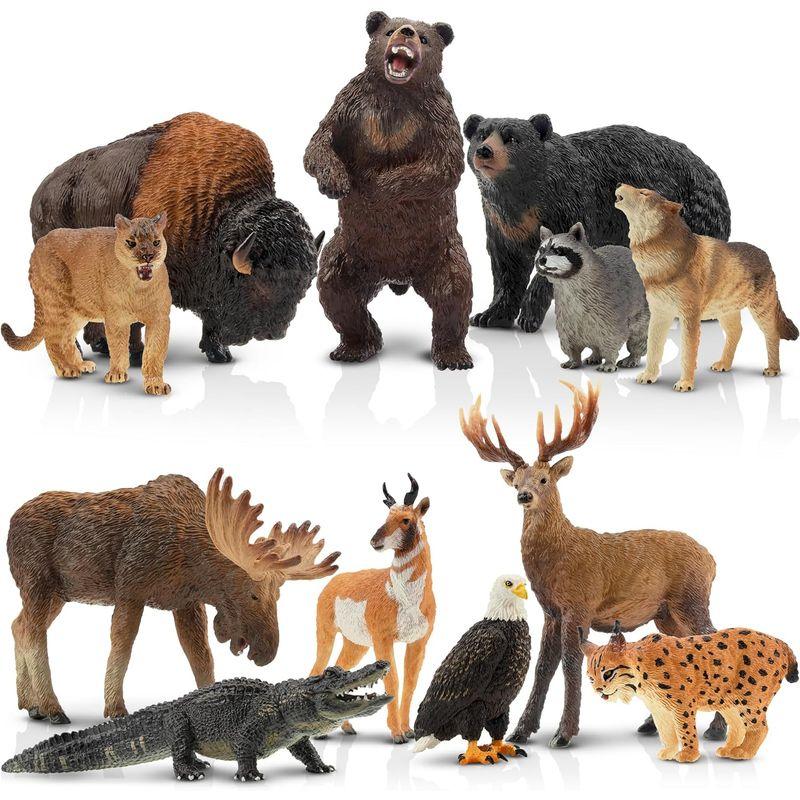 TOYMANY 12PCS北アメリカ 森の動物フィギュア 野生動物 TOYMANY 12PCS北アメリカ 森の動物フィギュア 野生動物