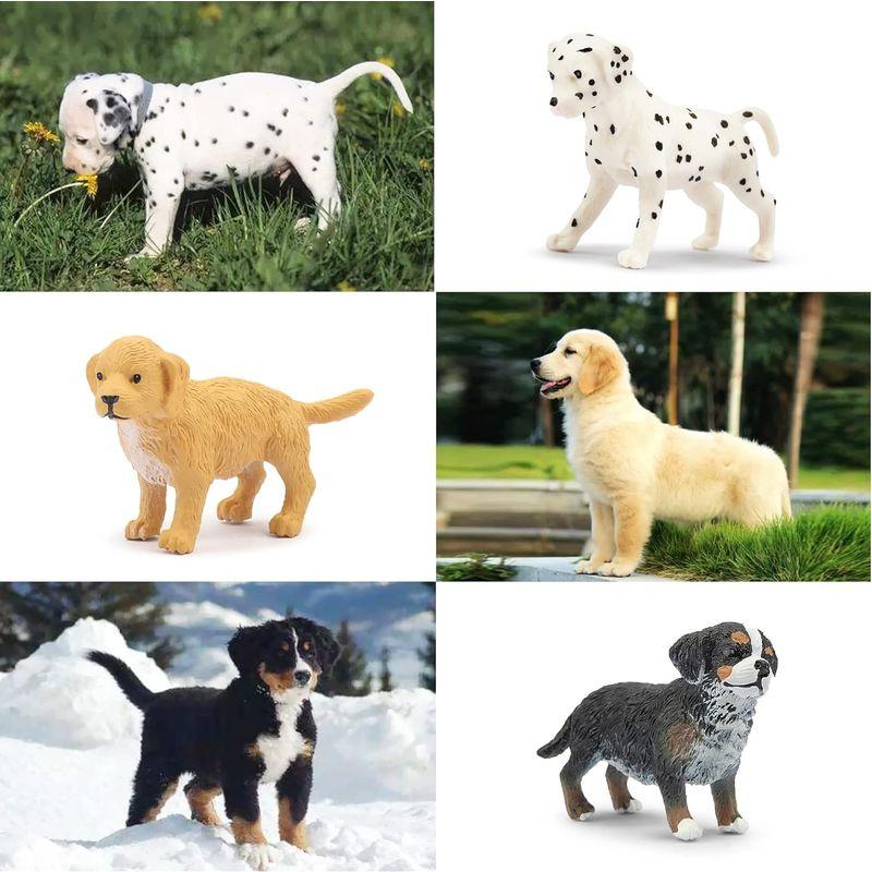 TOYMANY 12PCSミニ犬フィギュア ミニ動物フィギュア 動物 TOYMANY 12PCSミニ犬フィギュア ミニ動物フィギュア 動物