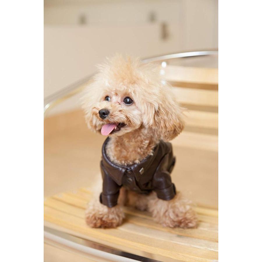 犬服 本皮 革ブランド D D Hants 後ろ姿がカッコいいワンコの革ジャン 3号 ココア Braggart 通販 Yahoo ショッピング