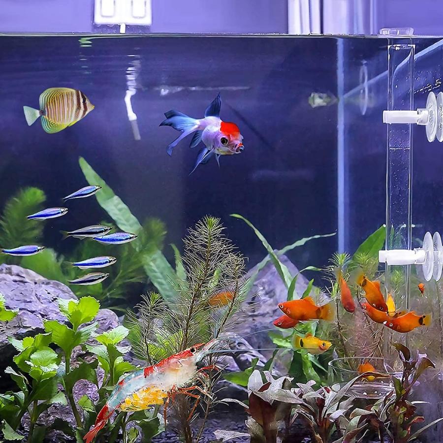 ベビーグッズも大集合 Popetpop 給餌皿 エビ餌 トレイ チューブ 1セット 水槽 アクアリウム エビ 稚魚 飼育用 給餌器 餌皿 Wantannas Go Id