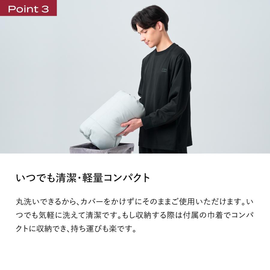 ブレインスリープ 掛け布団 布団 コンフォーター オールシーズンズ