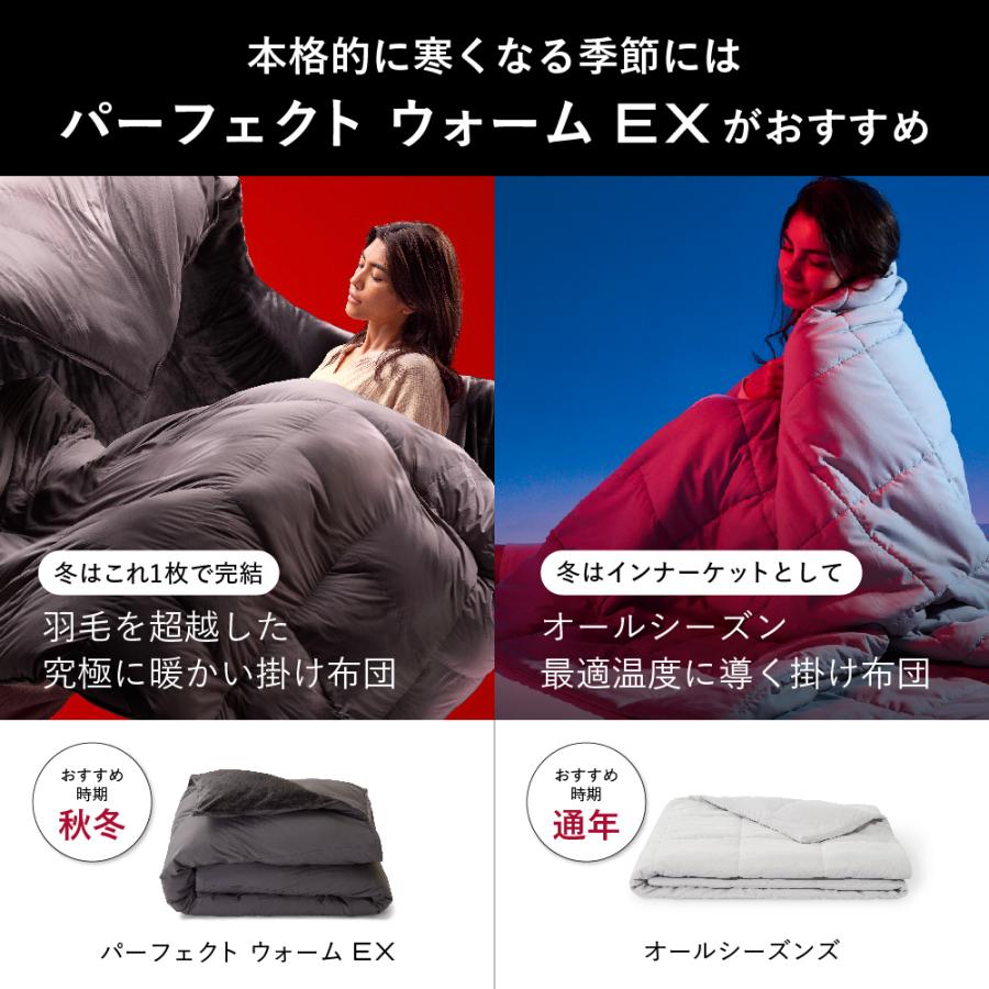 ブレインスリープ 掛け布団 布団 コンフォーター オールシーズンズ