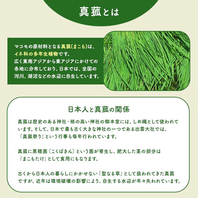 マコモ まこも 粉末 宮城県 無農薬 真菰 190g マコモダケ 酵素 マコモ まこも 粉末 宮城県 無農薬 真菰 190g マコモダケ 酵素