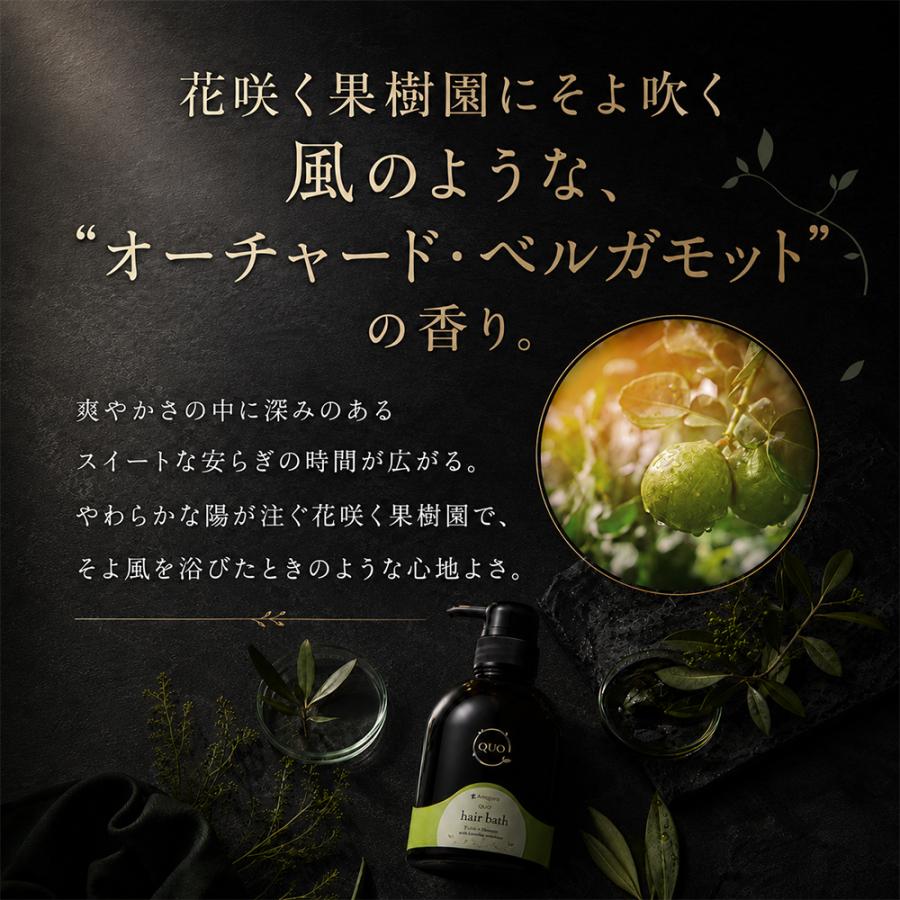 アマトラ クゥオ ヘアバス es シャンプー 400ml ヘアケア QUO ノンシリコン バス 風呂 ハリ コシ シリコンフリー サロン 美容院 高級 Amatora ナチュラル 天然 |  | 03