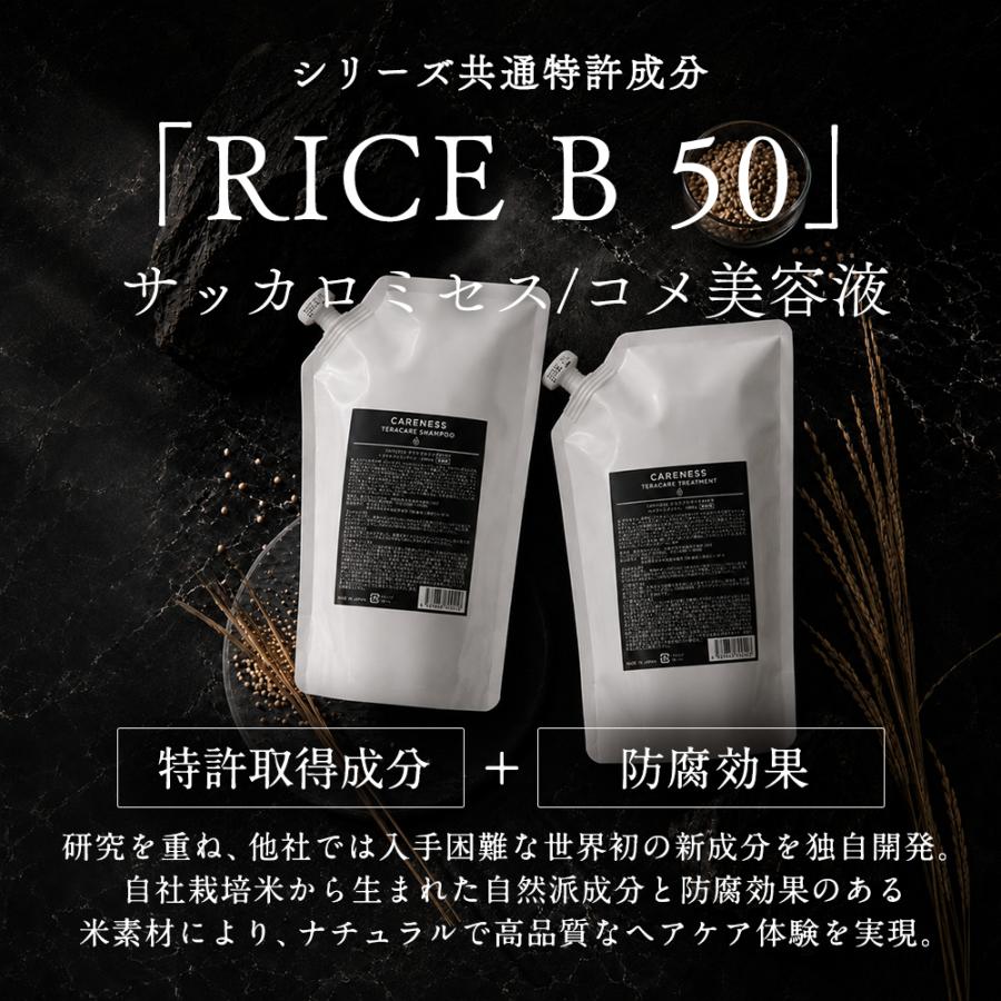 ケアネス テラケアシャンプー 1000ml トリートメント 1000g 2種 詰替用
