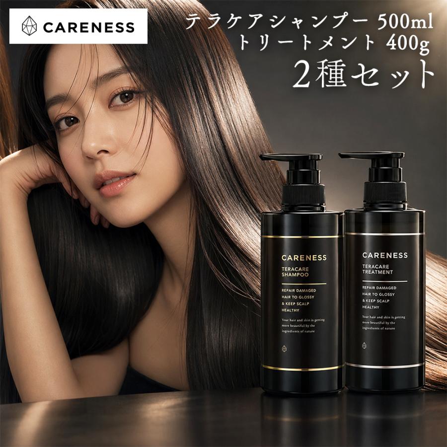 ケアネス テラケアシャンプー 500ml トリートメント 400g 本体 2種セット ヘアケア シャンプー トリートメント エイジングケア 頭皮ケア スカルプケア | 