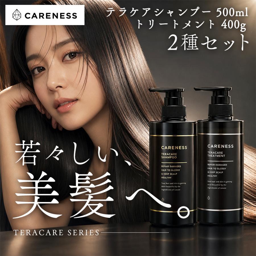 CARENESS テラケアシャンプー・トリートメント セット x 2セット ケアネス テラケアシャンプー 500ml トリートメント 400g 本体 2種