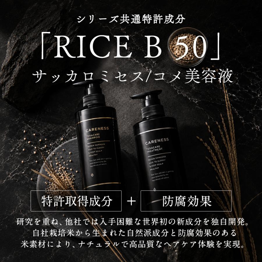 CARENESS テラケアシャンプー・トリートメント セット x 2セット ケアネス テラケアシャンプー 500ml トリートメント 400g 本体 2種