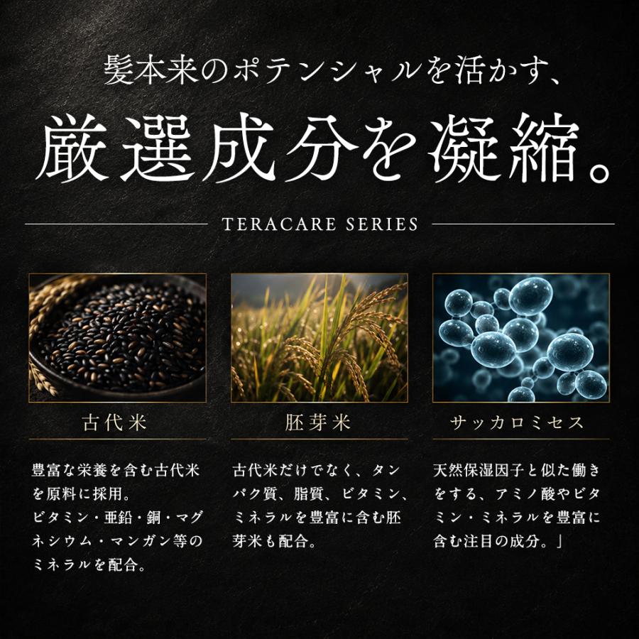 ケアネス テラケアシャンプー 500ml トリートメント 400g 本体 2種