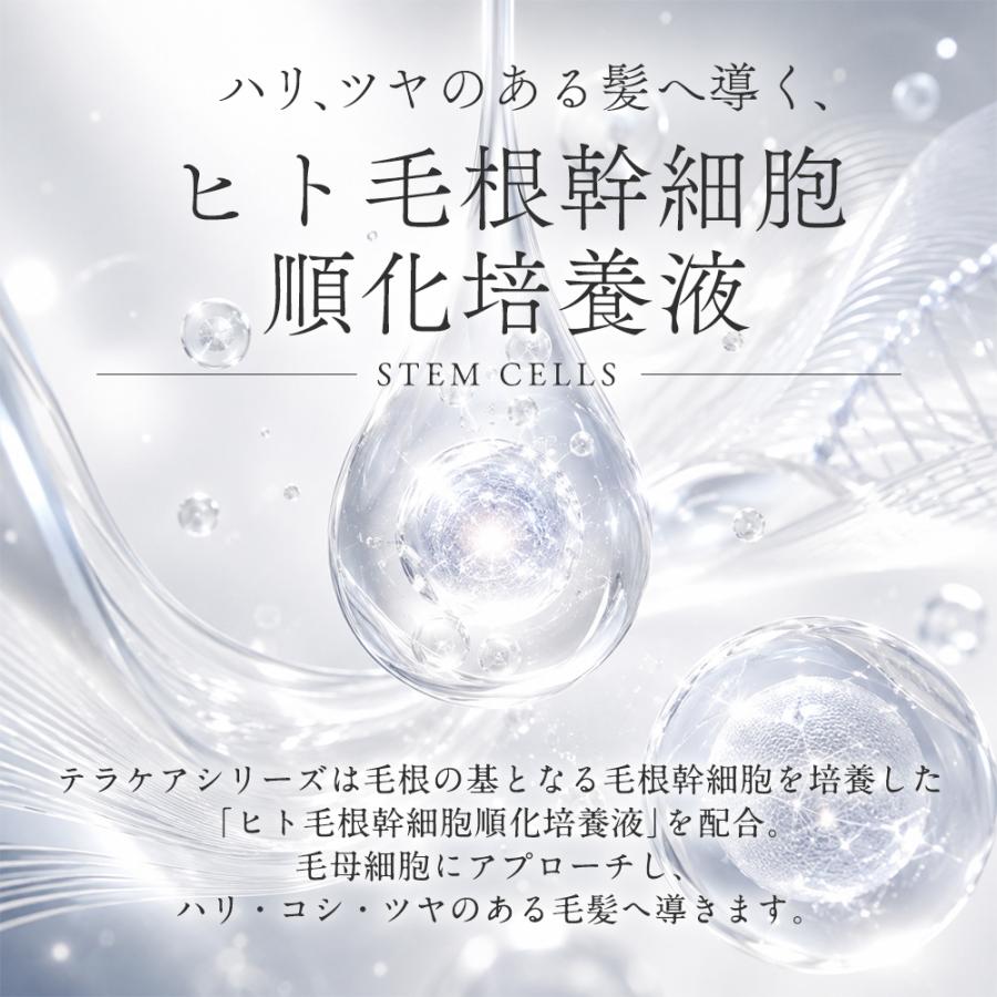 ケアネス テラケアシャンプー 500ml トリートメント 400g 本体 2種