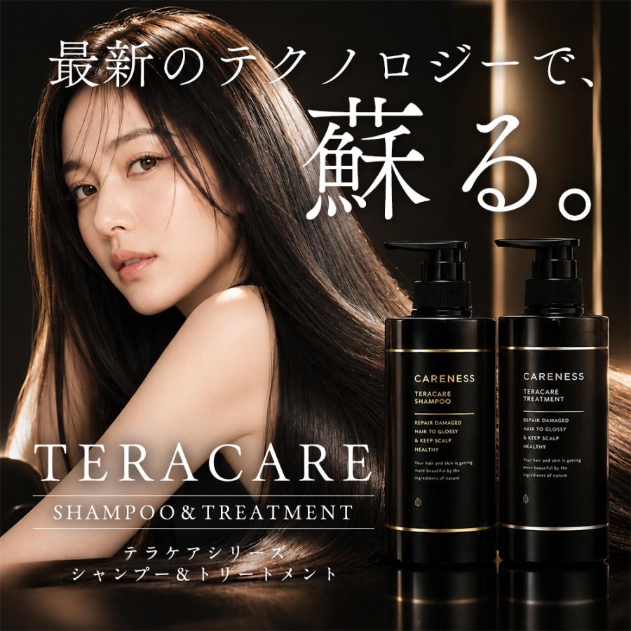 ケアネス テラケアシャンプー 500ml トリートメント 400g 本体 2種セット ヘアケア シャンプー トリートメント エイジングケア 頭皮ケア スカルプケア |  | 05