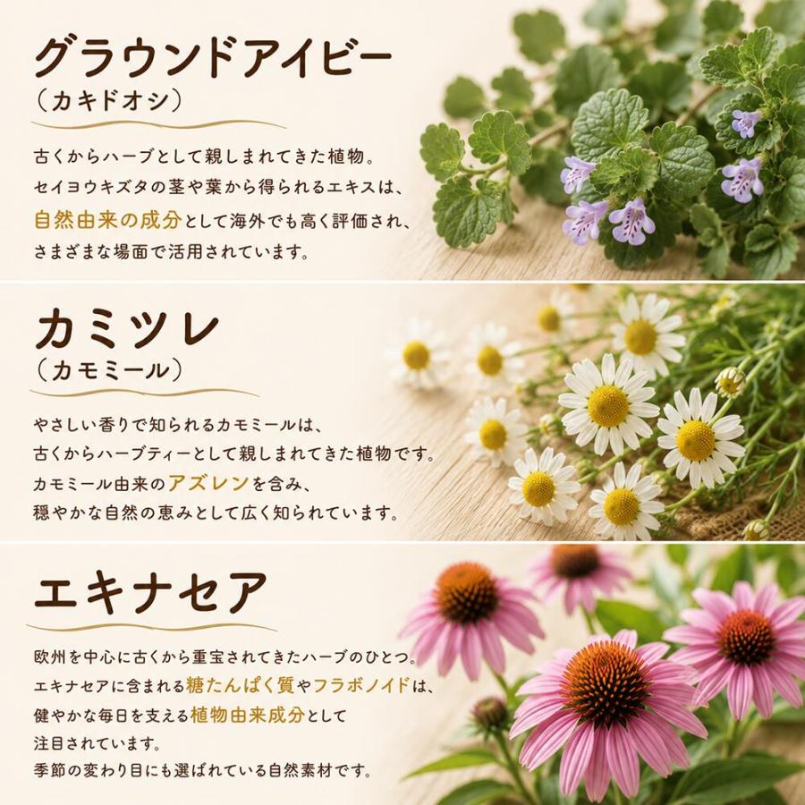 【3個セット】たかくら新産業 百年はちみつのど飴 レザーウッドハニー＋ハーブキャンディ 百年はちみつのど飴 ゆず味 生姜レモン味 |  | 07