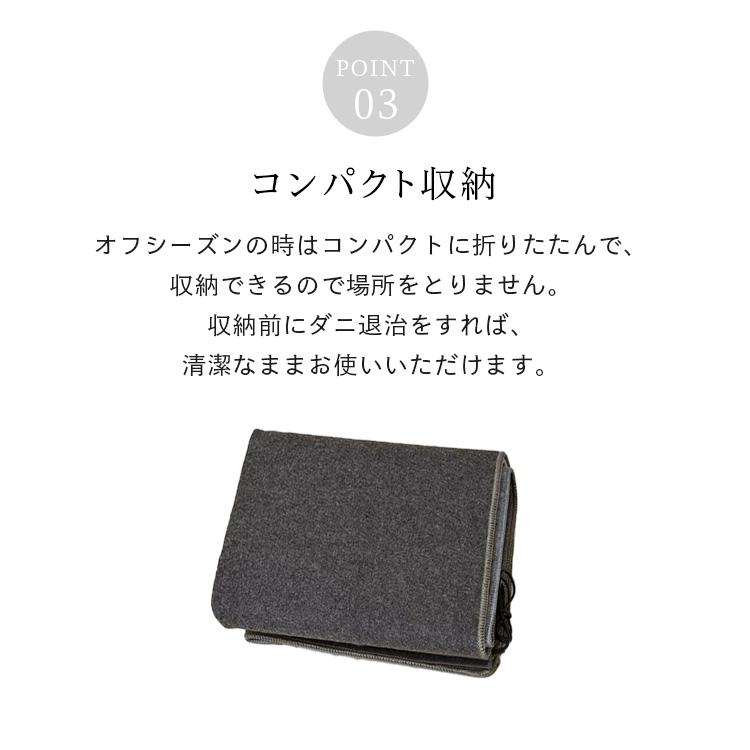 国産【ホットカーペット 2畳用本体 BR-20002 日本製 (約)175