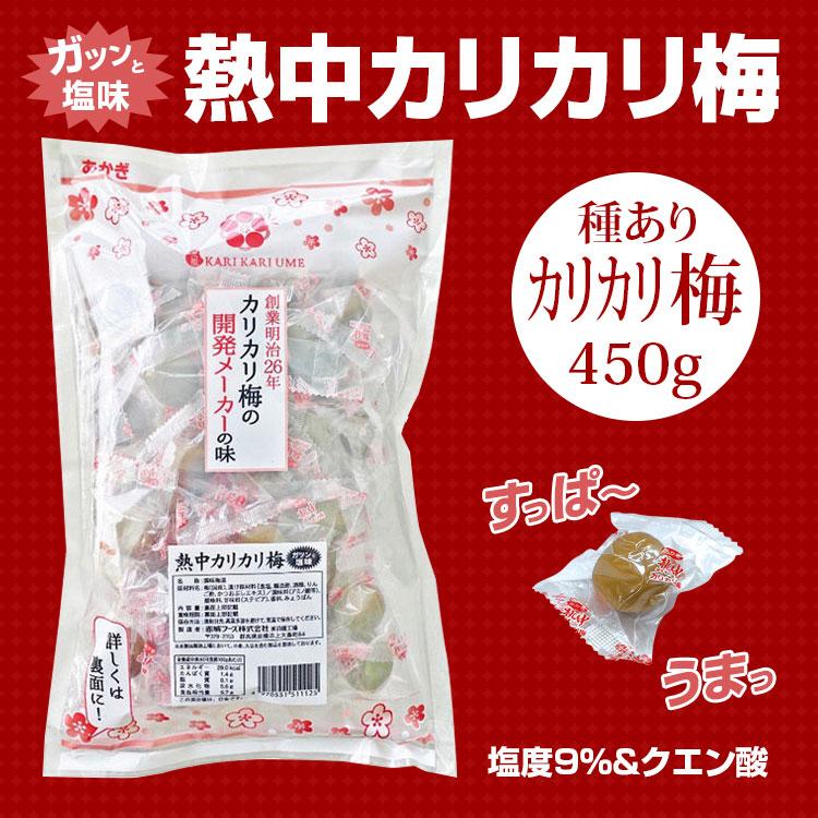 21年生産 赤城フーズ 熱中カリカリ梅 40粒入 種あり 500ｇ 国産梅