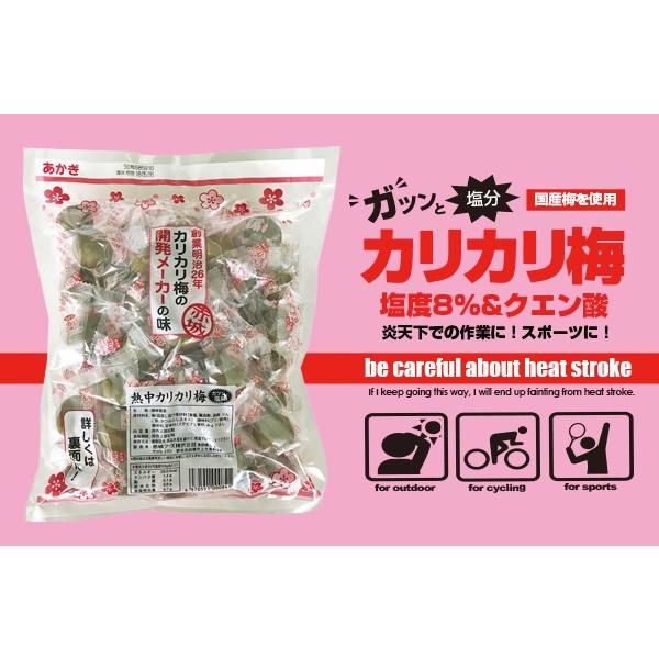 21年生産 赤城フーズ 熱中カリカリ梅 40粒入 種あり 500ｇ 国産梅を使用 Nettyuukarikari Ak 天晴天国 通販 Yahoo ショッピング
