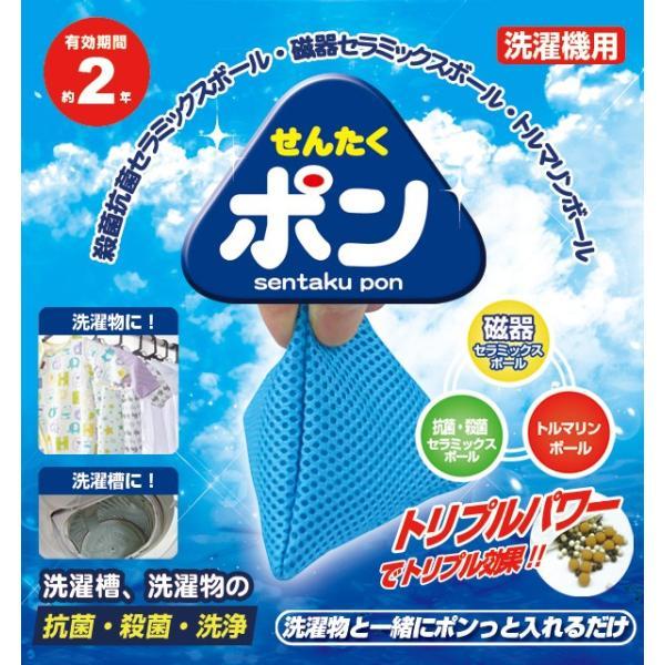 洗濯槽の抗菌 洗濯ボール 抗菌 殺菌 洗浄ボール せんたくポン BR-050 ポンッと洗濯槽に入れるだけ 殺菌効果と洗浄力アップ効果 | ブレイン | 01