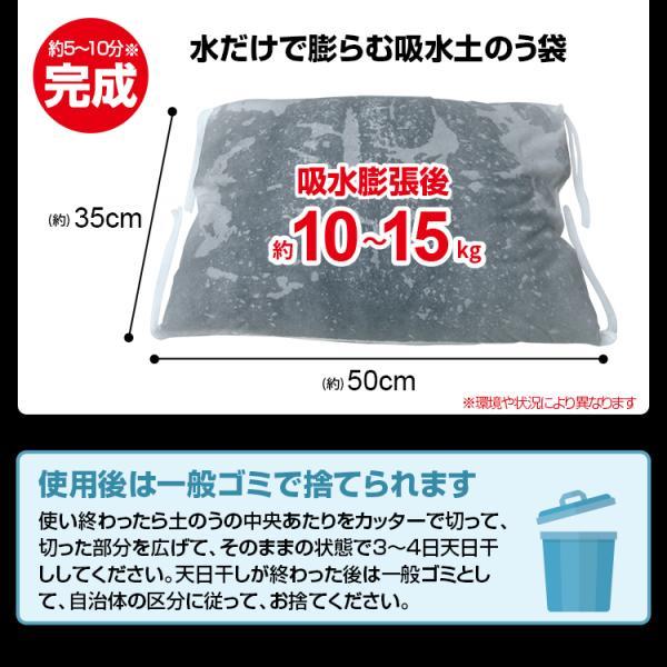 ブレイン BR-15000 水でふくらむ 吸水土のう 水のう 5枚入 都市型水害