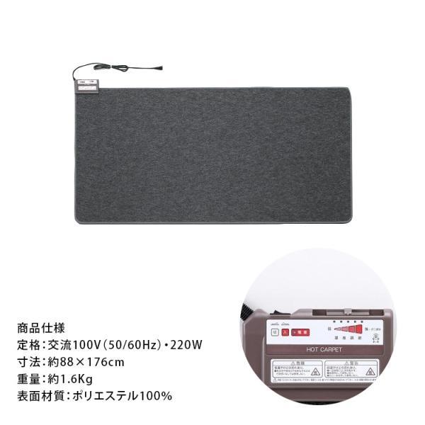 ブレイン ホットカーペット 1畳用本体 BR-20001 日本製 (約)88×176cm