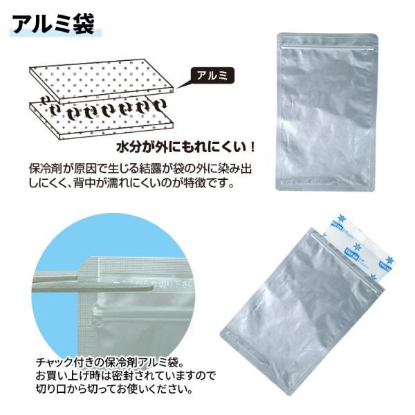 保冷剤 保冷剤袋のセット アイスバック2・3専用保冷剤セット BR-532 熱中症対策グッズ ブレイン |  | 02