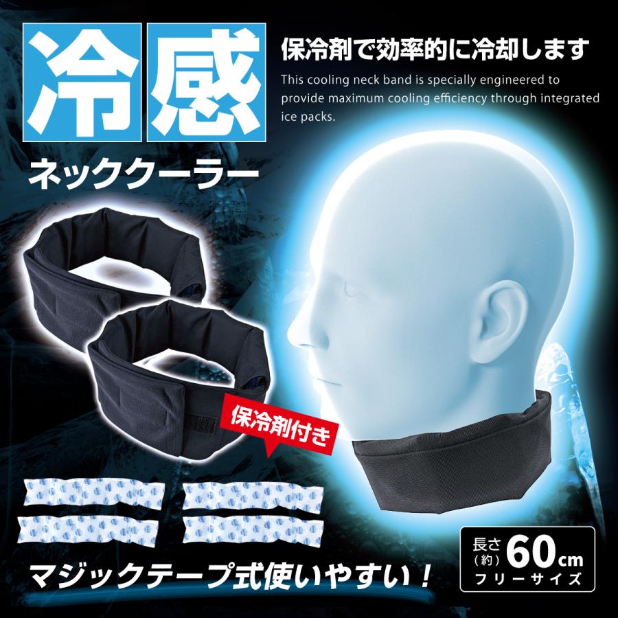 ブレイン 保冷剤付きネッククーラー (5連保冷剤×2個付き) ×2個セット