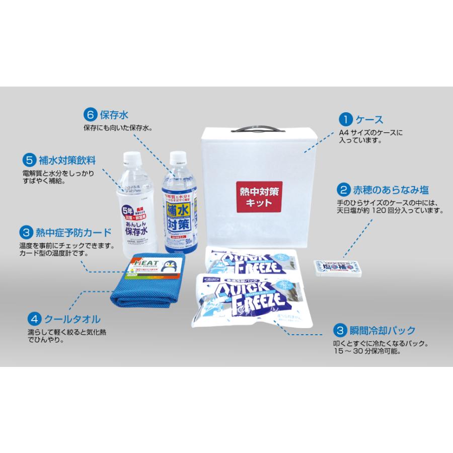 熱中症対策キット BR-560 熱中対策キットミニ MINI 熱中症対策グッズ 熱中症対策セット 熱中症対策応急キット 熱中症対策の義務化 | ブレイン | 02