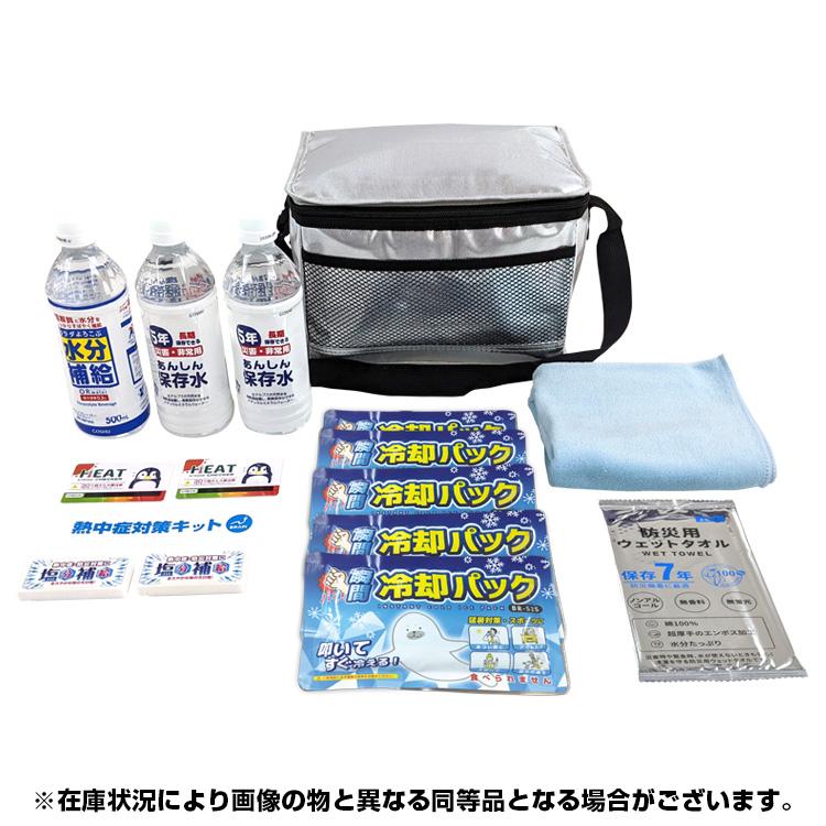 熱中症対策キット 熱中症対策キットDX BR-610 アルミクーラーバックに