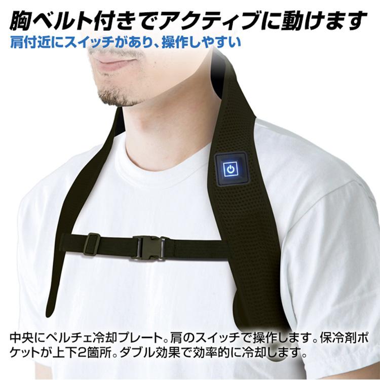 BR-730 アイスバックペルチェ (保冷剤×2個付) (バッテリー別売) 熱中症対策グッズ 専用保冷剤とペルチェで背中と首を冷やす |  | 03