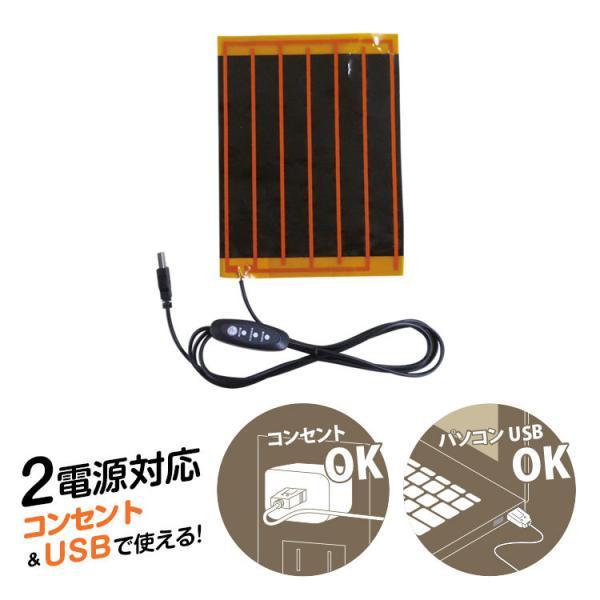 アニマルフットウォーマー 猫 BR-774 2電源 USB AC 対応 足温器 足元暖房 つま先や末端冷え性に ねこ ネコ | ブレイン | 04